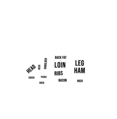 Big City BBQ